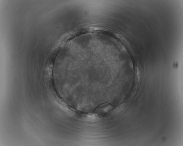X0000112060475200909151030