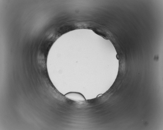X0000112060477200909151030
