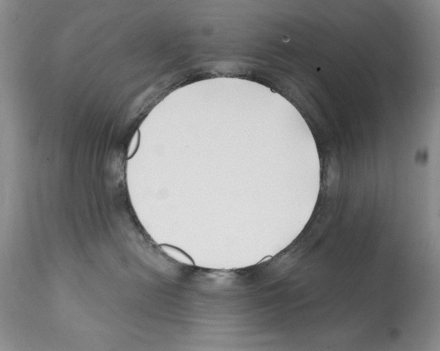 X0000112060478200909151030