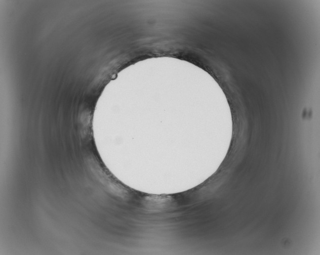 X0000112060480200909151030