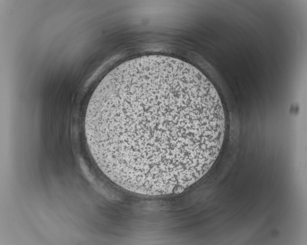 X0000112060482200909151029