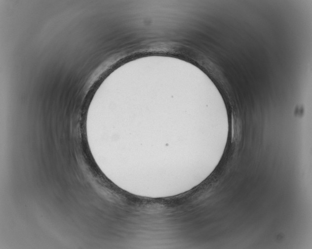X0000112060483200909151029