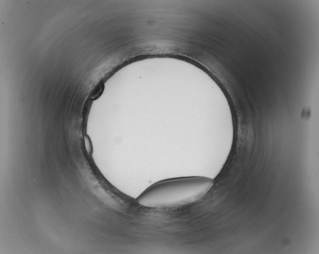 X0000112060485200909151029