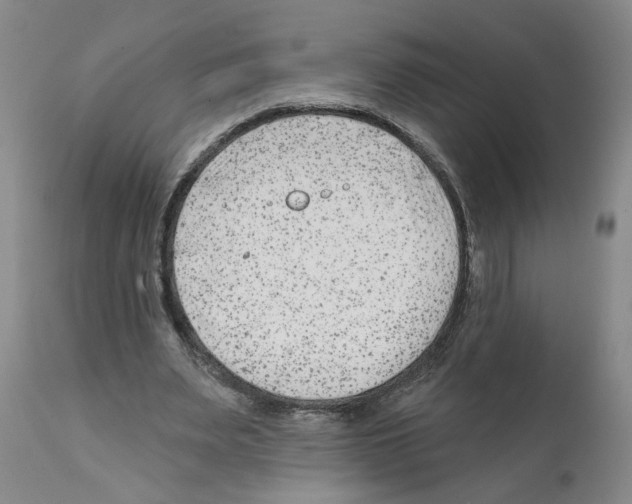 X0000112060487200909151029
