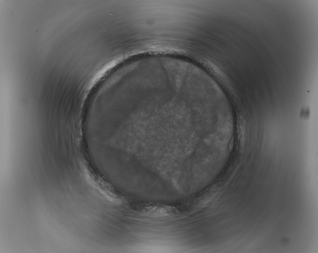 X0000112060488200909151029