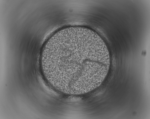 X0000112060491200909151029