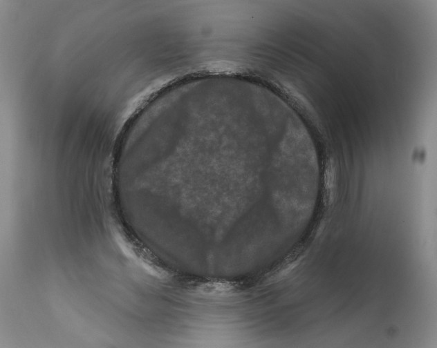 X0000112060492200909151029