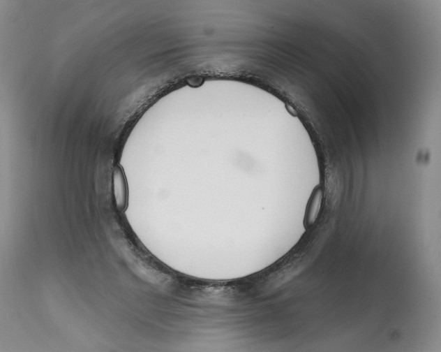 X0000112060493200909151029