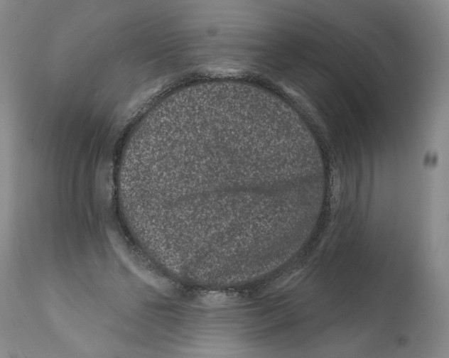 X0000112060494200909151029