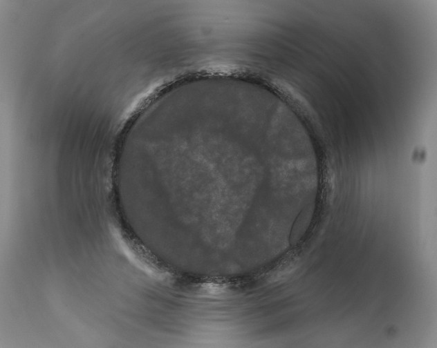 X0000112060496200909151029