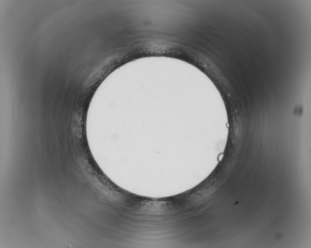 X0000112060497200909151029
