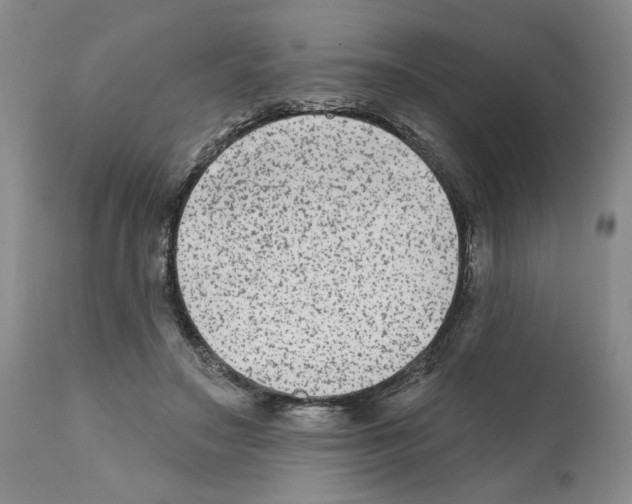 X0000112060499200909151029