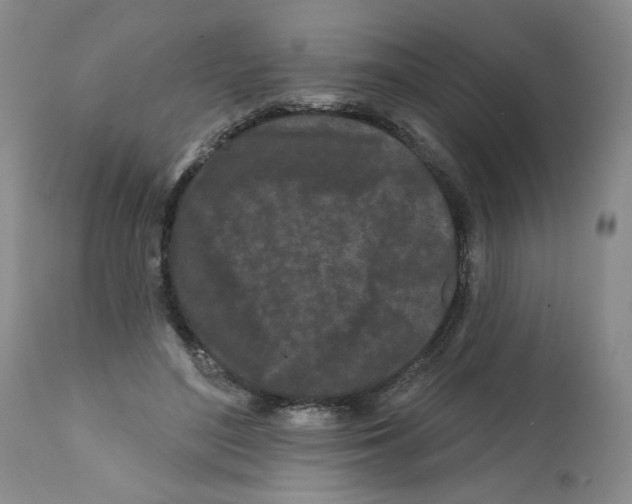 X0000112060500200909151029