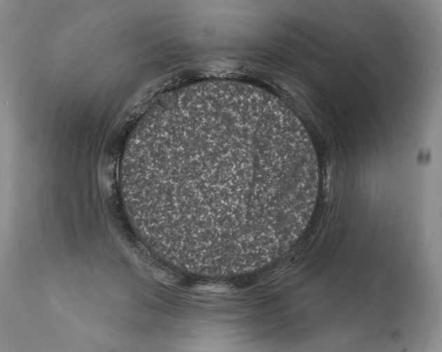 X0000112060503200909151029