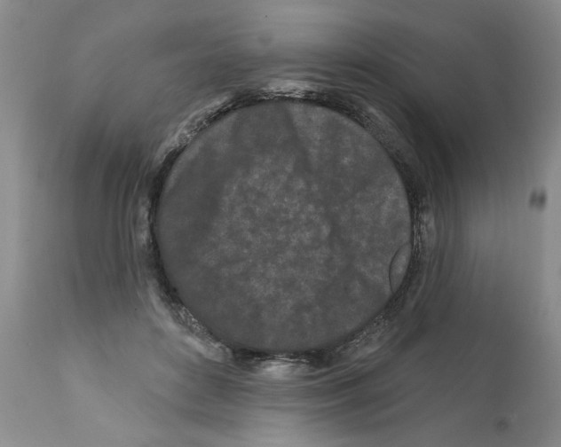 X0000112060504200909151029