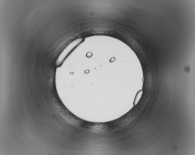 X0000112060505200909151029