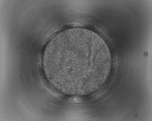X0000112060506200909151029
