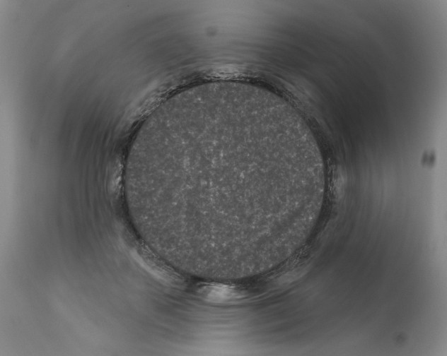 X0000112060507200909151029