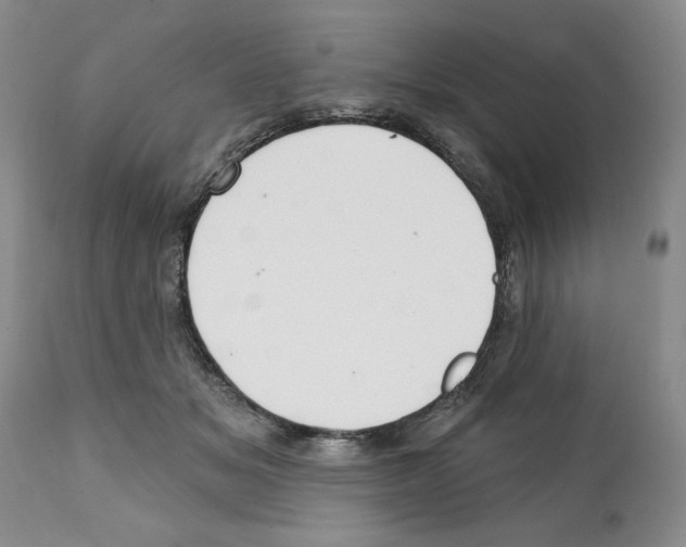 X0000112060509200909151029