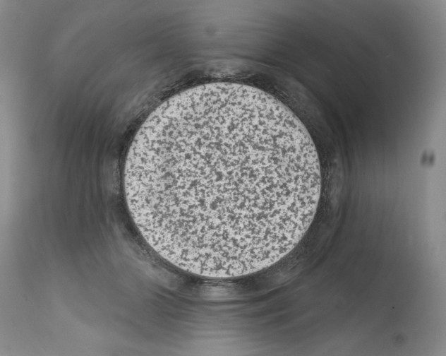 X0000112060510200909151029