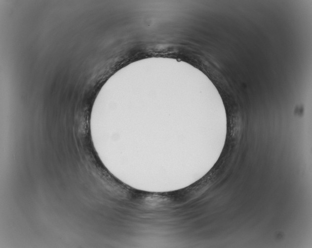 X0000112060515200909151029