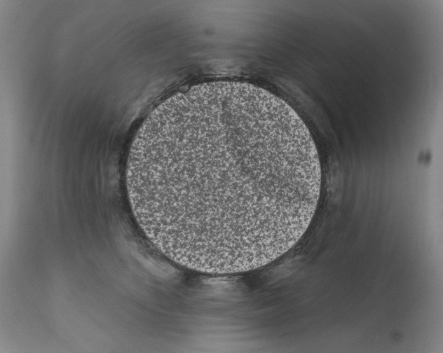 X0000112060516200909151029