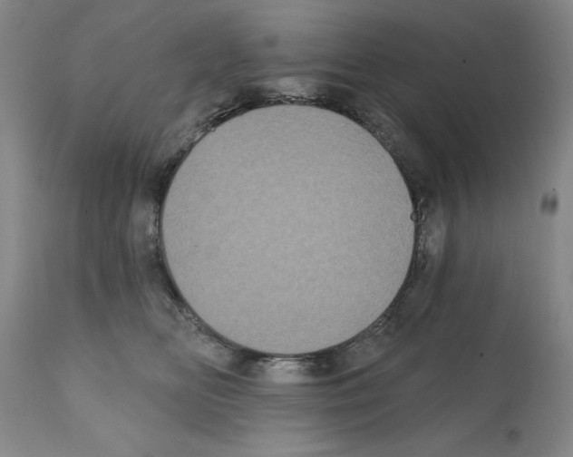 X0000112060518200909151029