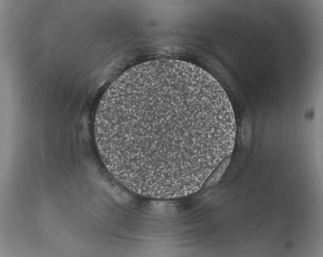 X0000112060520200909151029