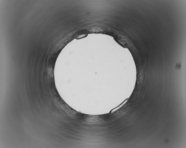 X0000112060521200909151028