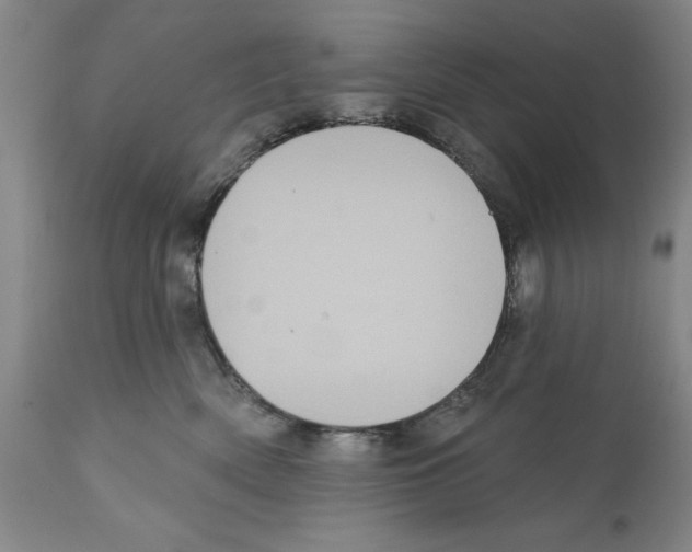 X0000112060522200909151028