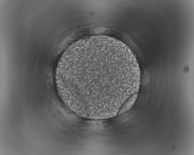X0000112060524200909151028