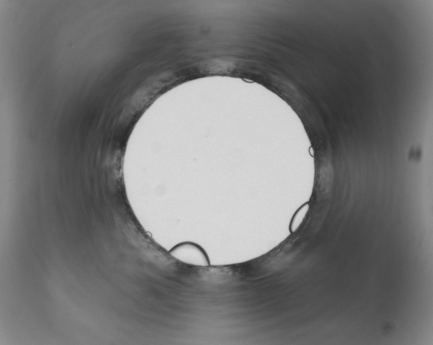 X0000112060525200909151028