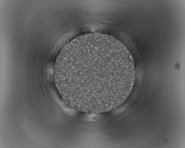 X0000112060527200909151028