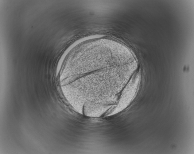X0000112060528200909151028