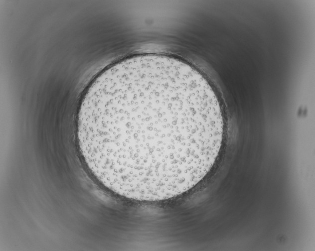 X0000112060529200909151027
