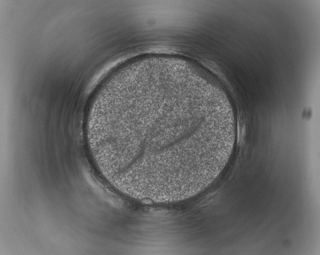 X0000112060531200909151027