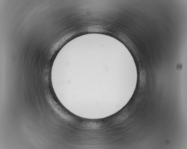 X0000112060533200909151028