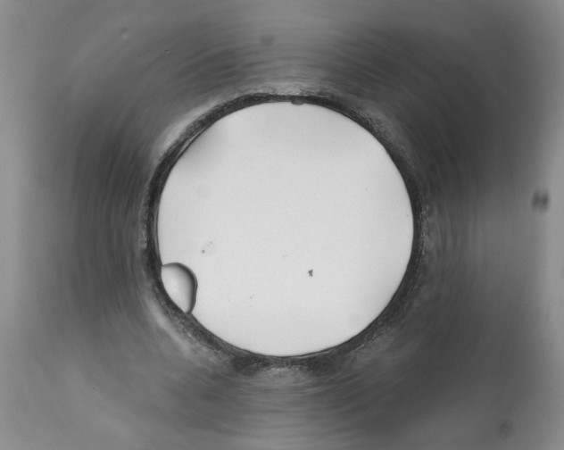 X0000112060536200909151028