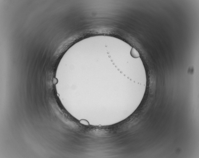 X0000112060537200909151028