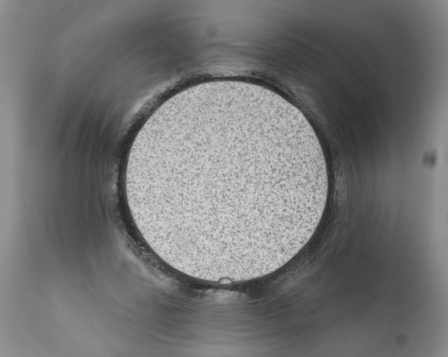 X0000112060539200909151028