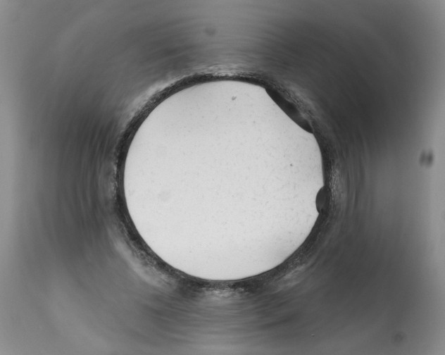 X0000112060540200909151028