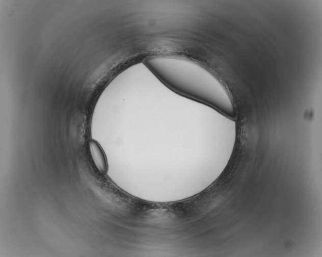 X0000112060544200909151028