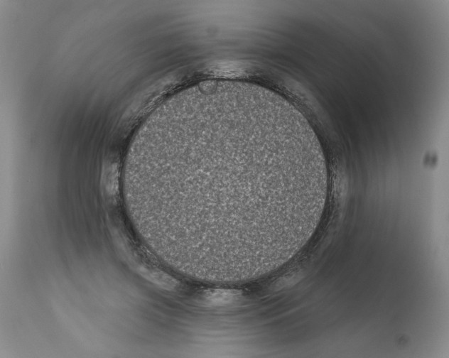X0000112060549200909151028