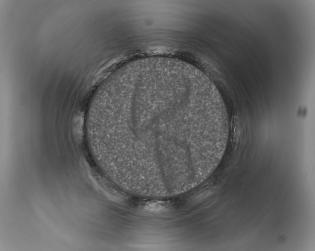 X0000112060550200909151028