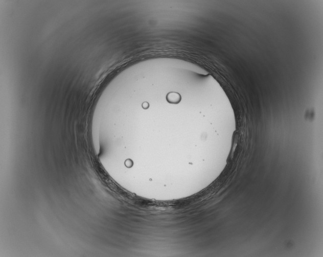 X0000112060552200909151028