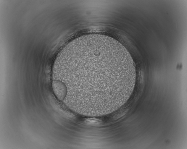 X0000112060557200909151028