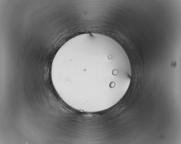 X0000112060558200909151028