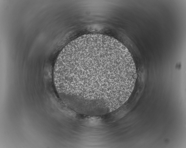 X0000112060561200909151028