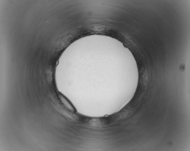 X0000112060562200909151028