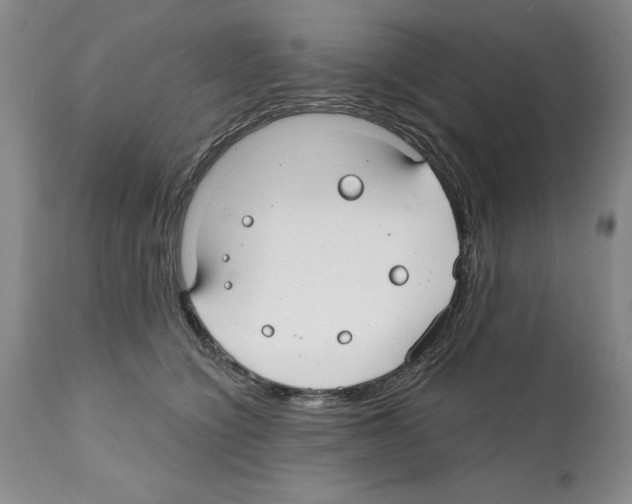 X0000112060564200909151028